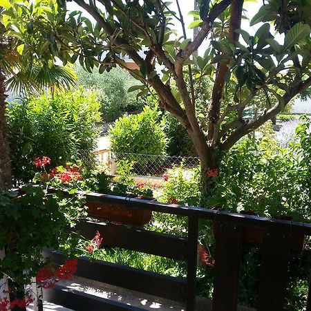 Apartment Perunika زادار المظهر الخارجي الصورة