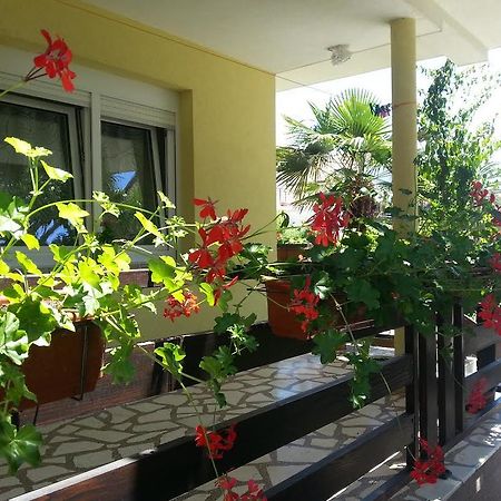 Apartment Perunika زادار المظهر الخارجي الصورة