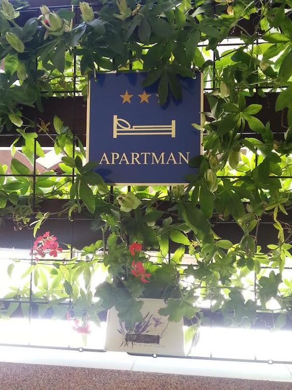 Apartment Perunika زادار المظهر الخارجي الصورة