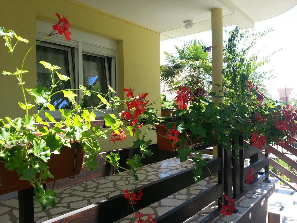 Apartment Perunika زادار المظهر الخارجي الصورة