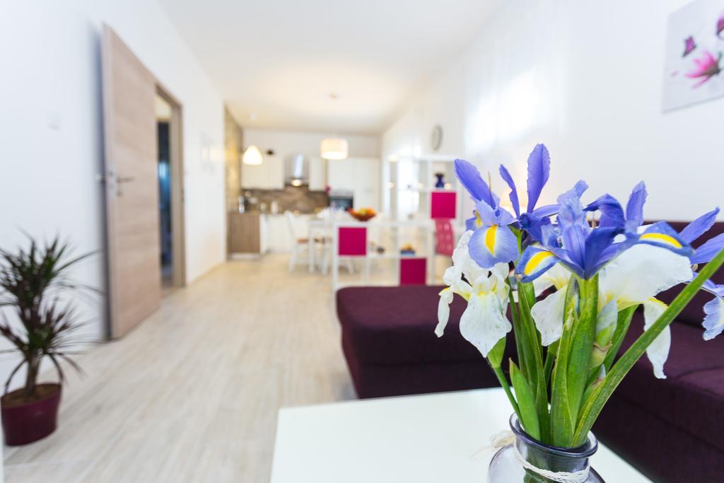 Apartment Perunika زادار المظهر الخارجي الصورة